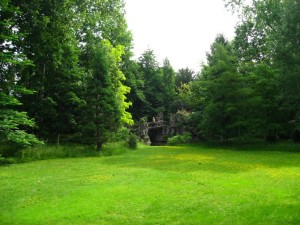 Jardin_du_Musée_Albert-Kahn.Le_jardin_anglais_by_Line1-670x502